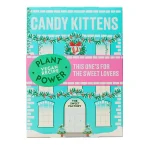 Candy Kittens Christmas Advent Calendar 2024