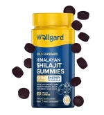 Wellgard Vegan Gummies - Image 9